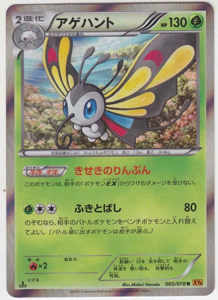 Photo1: Beautifly 005/078 XY6 1st (1)