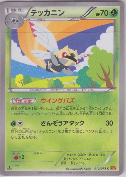 Photo1: Ninjask 010/078 XY6 1st (1)