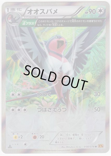 Photo1: Swellow 058/078 XY6 1st (1)