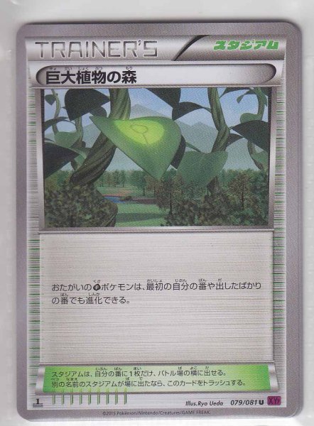 Photo1: Giant Plant Forest 079/081 XY7 1st (1)
