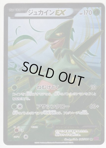 Photo1: Sceptile EX 082/081 XY7 1st (1)