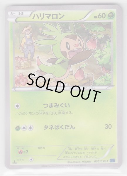 Photo1: Chespin 005/059 XY8 1st   (1)