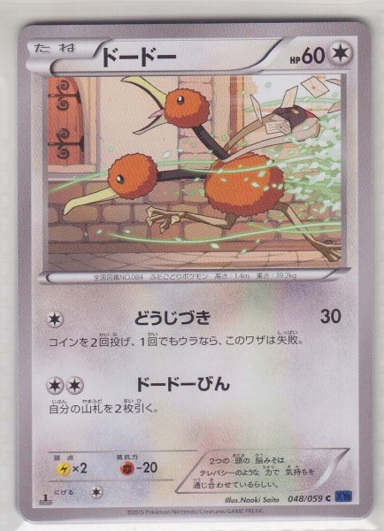 Photo1: Doduo 048/059 XY8 1st   (1)