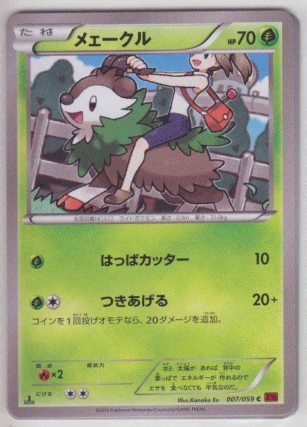 Photo1: Skiddo 007/059 XY8 1st   (1)