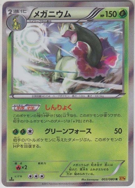 Photo1: Meganium 003/080 XY9 1st (1)