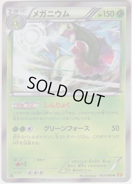 Photo1: Meganium 003/080 XY9 1st (1)