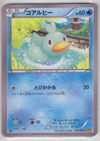 Photo1: Ducklett 025/080 XY9 1st (1)