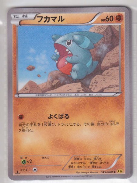 Photo1: Gible 049/080 XY9 1st (1)