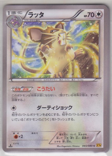 Photo1: Raticate 065/080 XY9 1st (1)