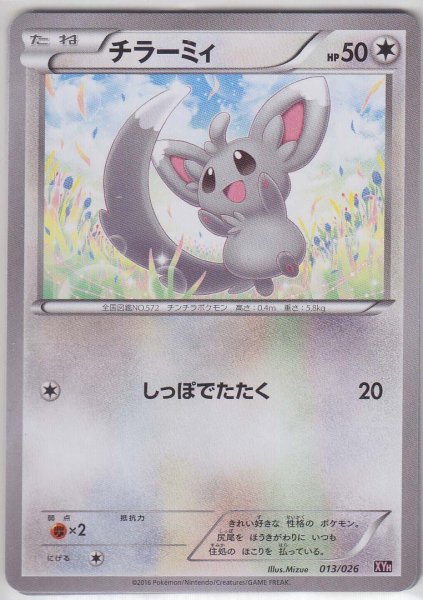 Photo1: Minccino 013/026 XYH (1)