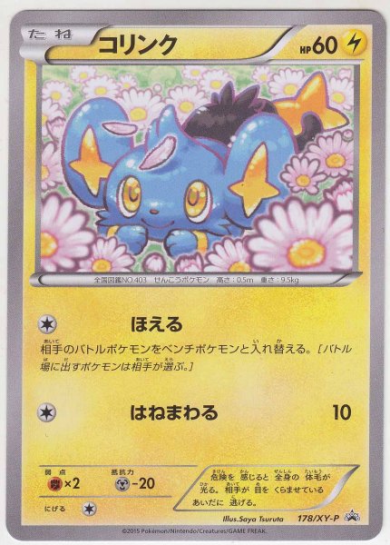 Photo1: Shinx 178/XY-P (1)